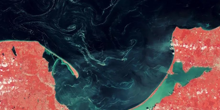 балтийское море из космоса