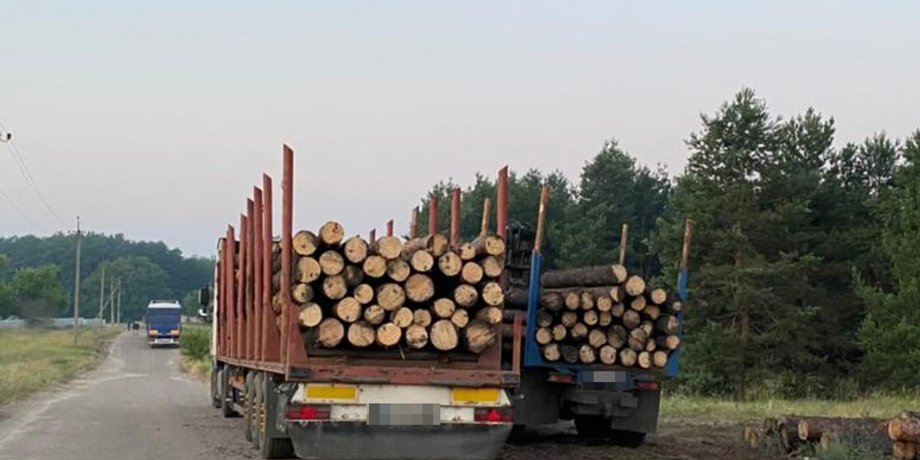 "Ліси України" и биржа уничтожают отрасль в Украине