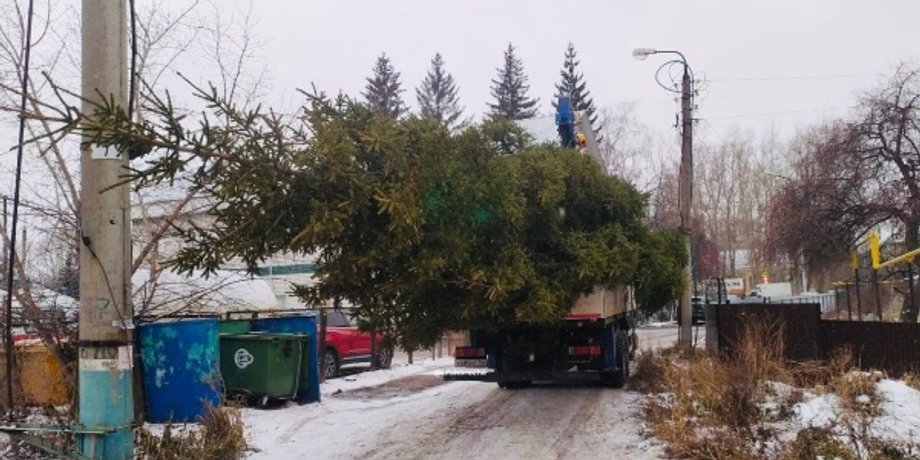 Новогодняя елка, рождественская елка, елка, Уфа