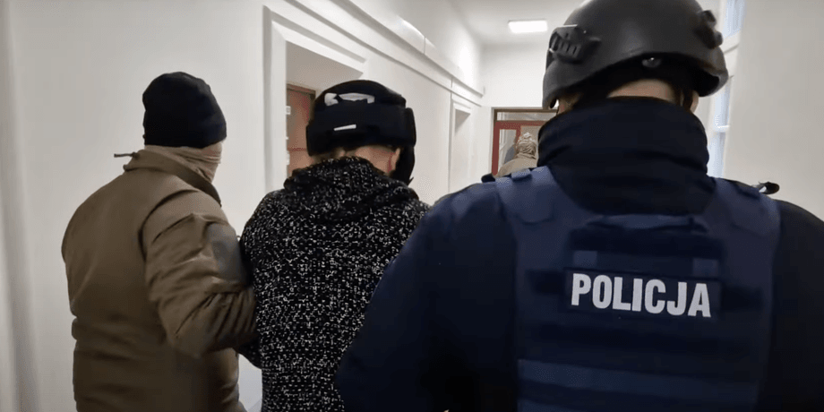 Полиция, Польша, задержание, преступление, преступник