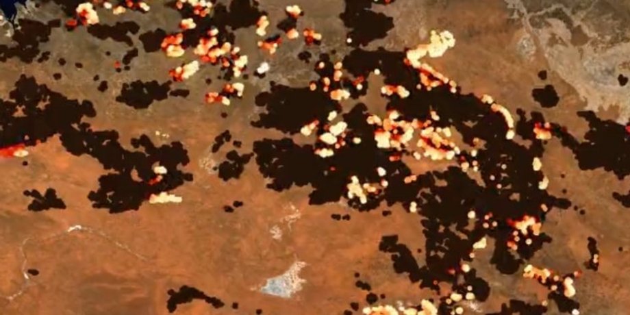 австралия, пожары в австралии, лесные пожары