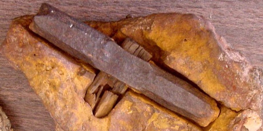 Меловой период, Геологические процессы, Теория эволюции, мистика, находка, археология, раскопки, древние люди, молоток