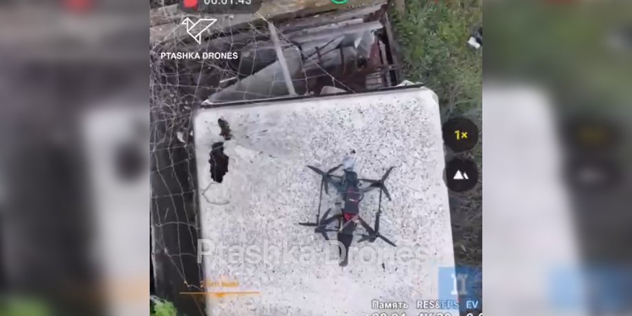 Сітка проти дронів Ptashka Systems