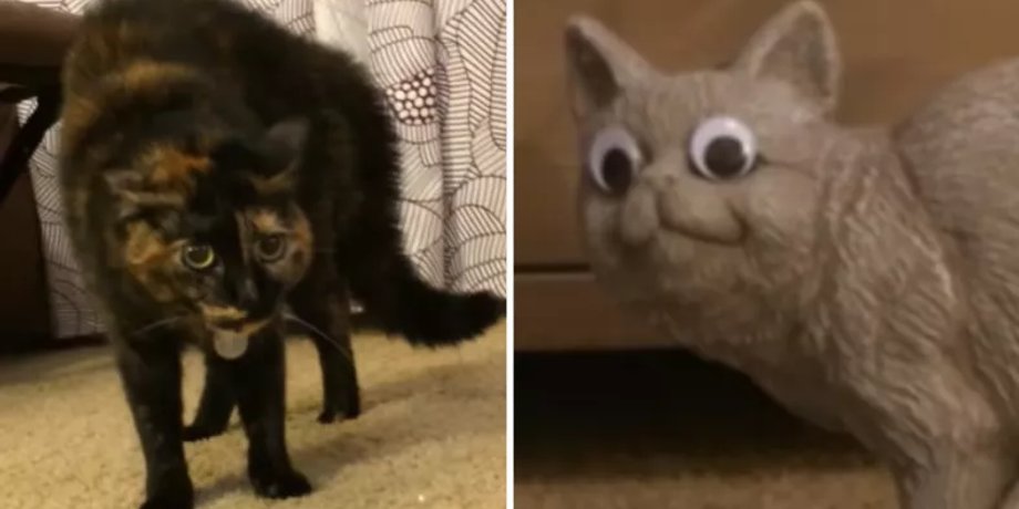 кошка
