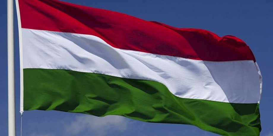 Флаг Венгрии / Фото: hungaryflag.facts.co