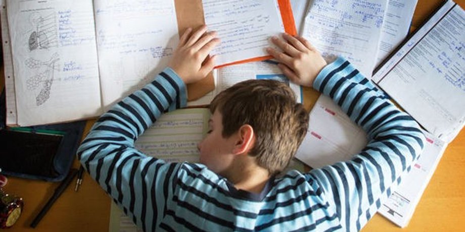 Домашнее задание в школе, скандал с родителями ребенка, ученики, обучение, США, курьезы