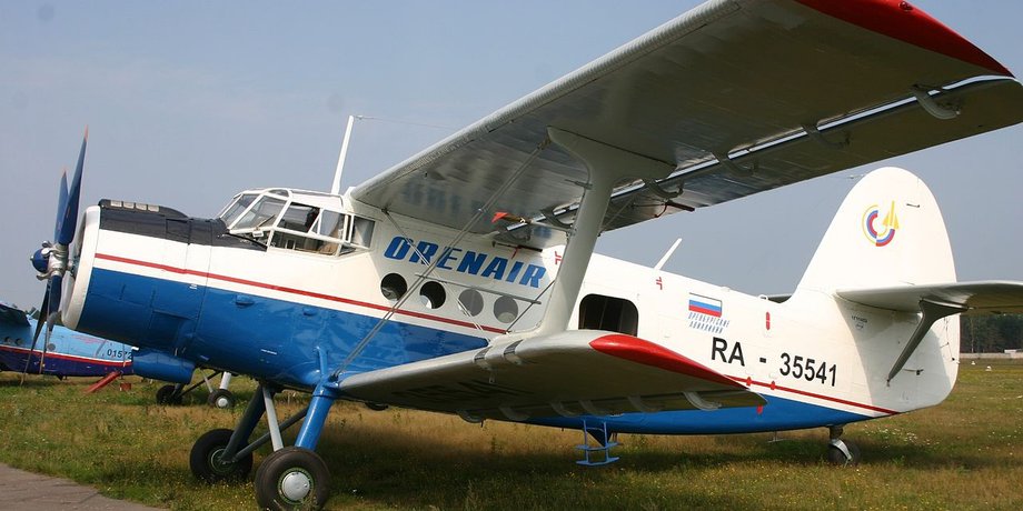 Кукурудзяник дрон
