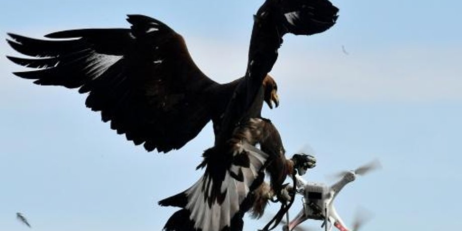 Фото: en.rfi.fr