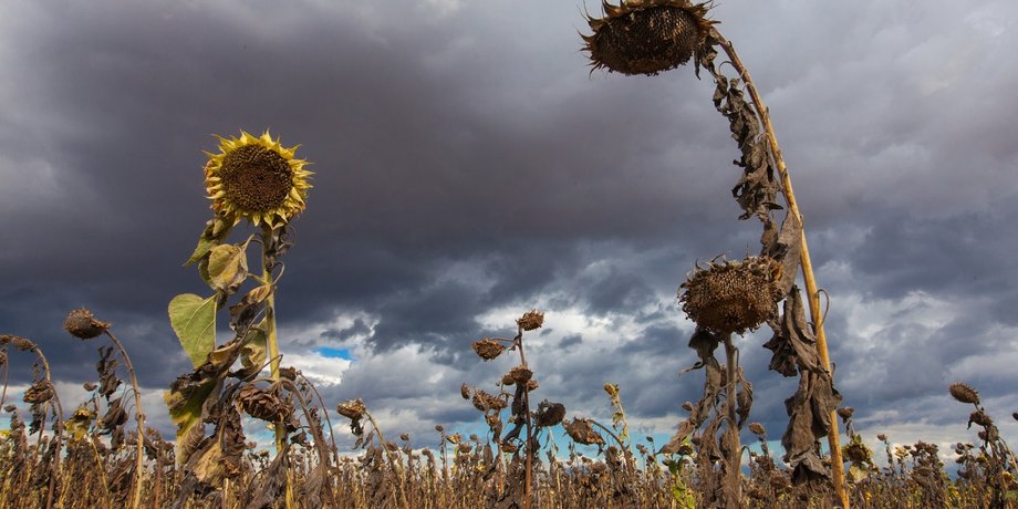 Фото: Getty Images