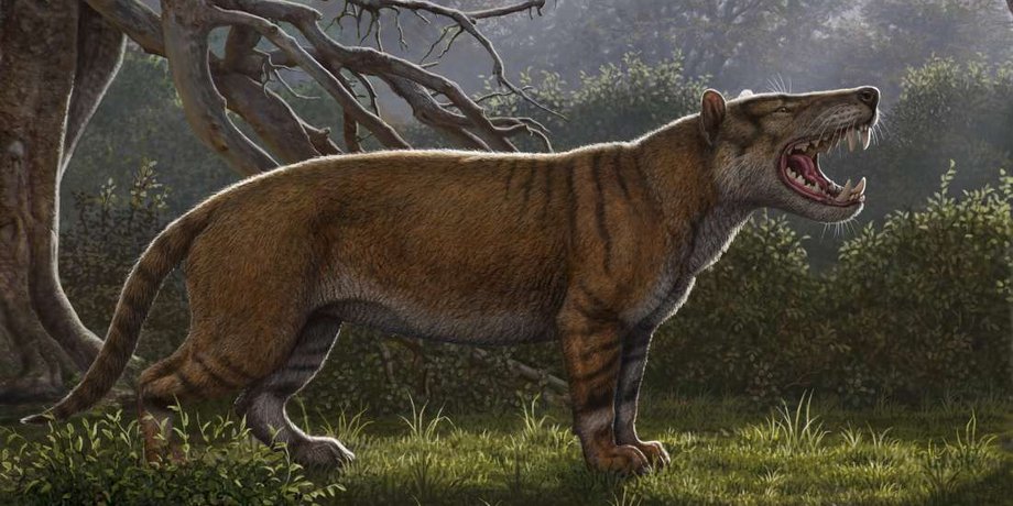 Borths & Stevens/Journal of Vertebrate Paleontology
