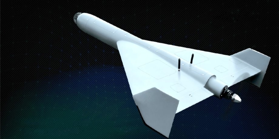 БПЛА Artemis ALM-20 от Auterion
