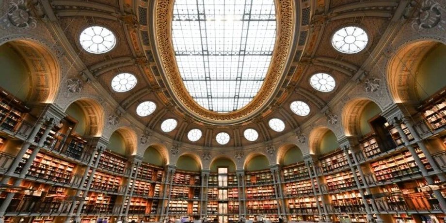 франция, библиотека, книги, обложка, яд, мышьяк