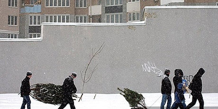 Фото: Дмитрий Стойков, Фокус