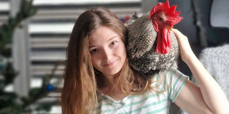Незвичайний вихованець українки здивував рідних і сусідів, українка живе з півнем