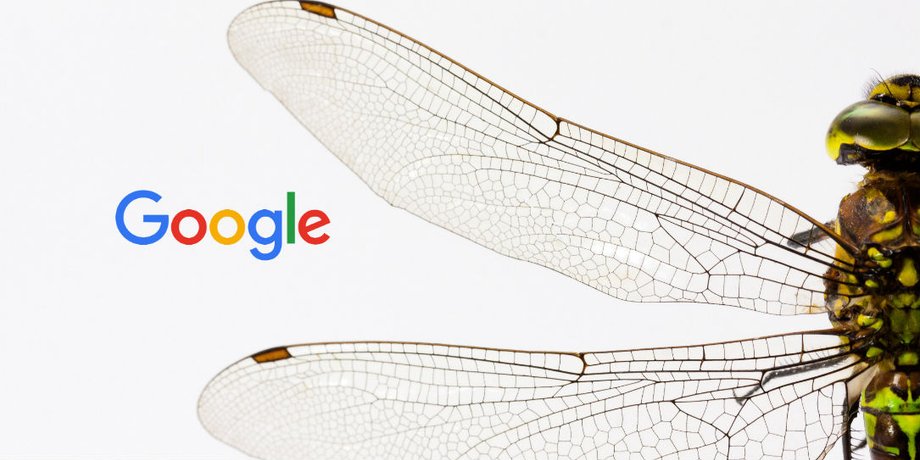 Фото: Chrome OS