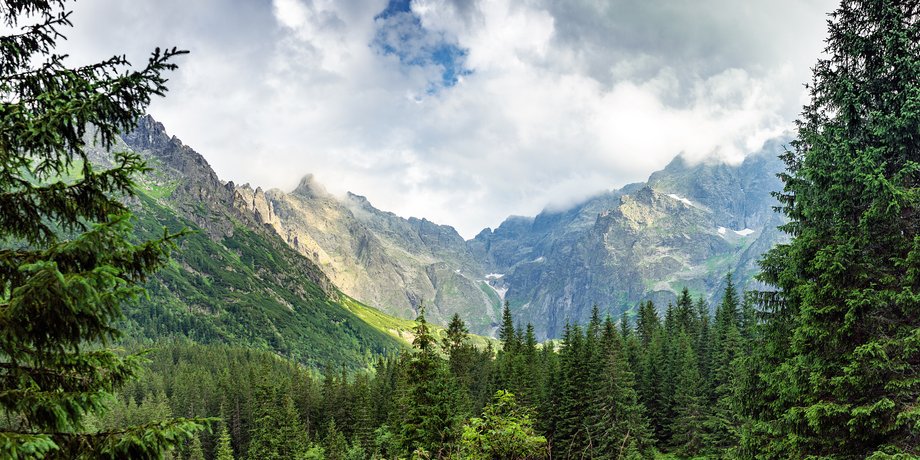 Горы, Гора, в горах, лес, Карпаты