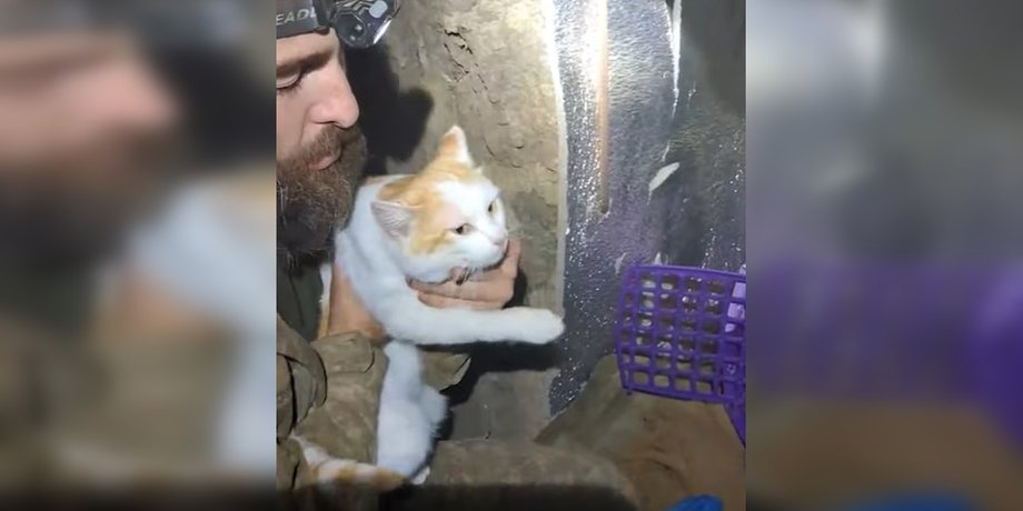 Эвакуация кота с передовой на НРК