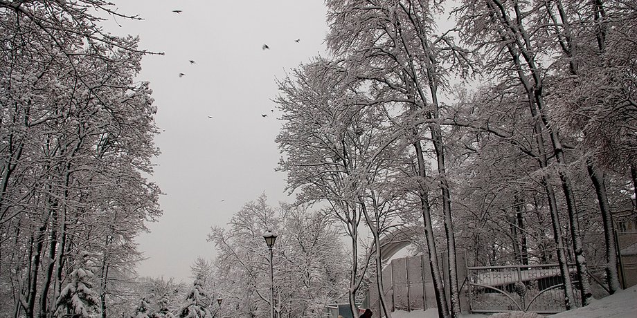 Ярослав Дебелый, Фокус.ua