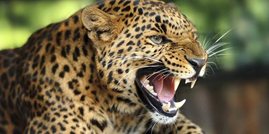 Фото: pinterest.com