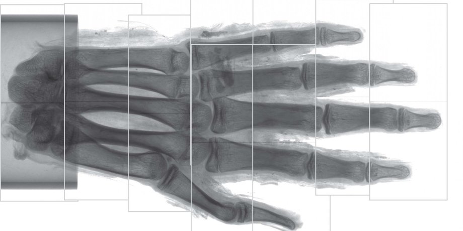 Radiological Society of North America