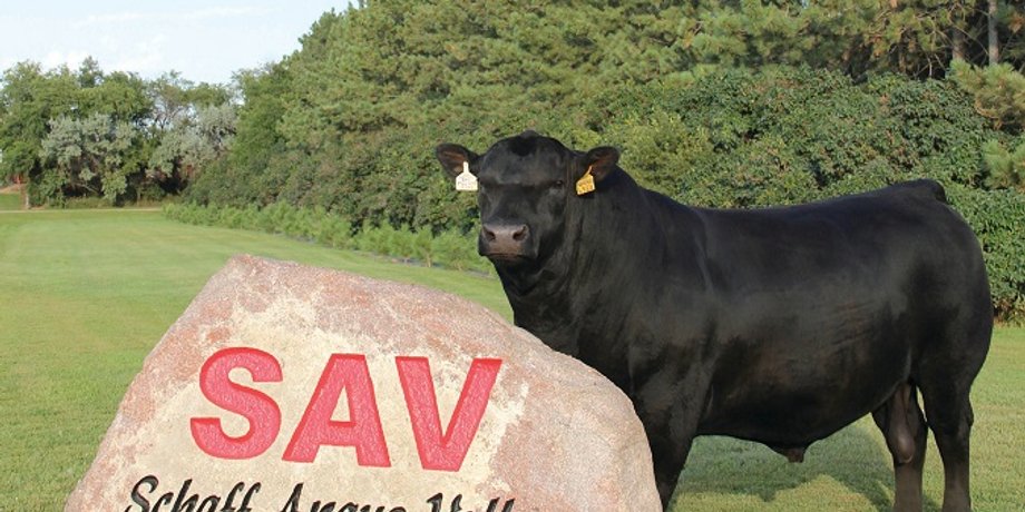 Фото: agweek