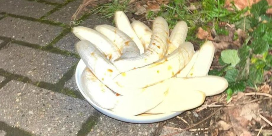Бананы на улице, тарелка с бананами, очищенные бананы, больше года на улице появляются бананы, фрукты с медом, бананы с медом