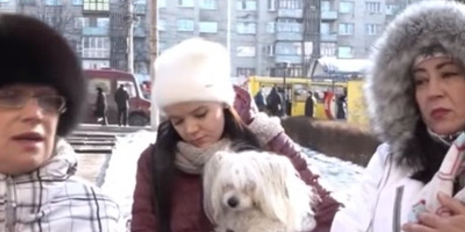 Фото: кадр с видео