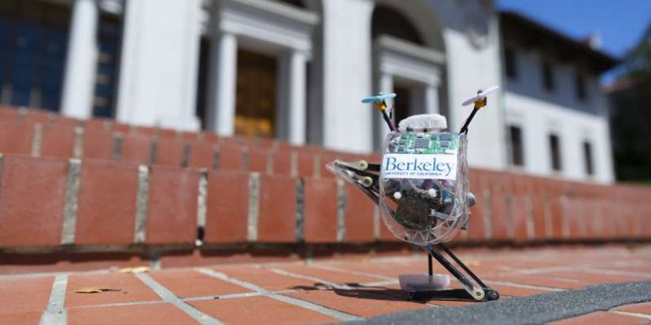 UC Berkeley