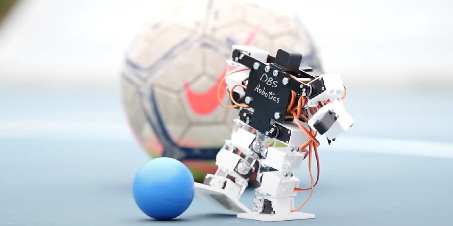 Робот, DBS Robotics