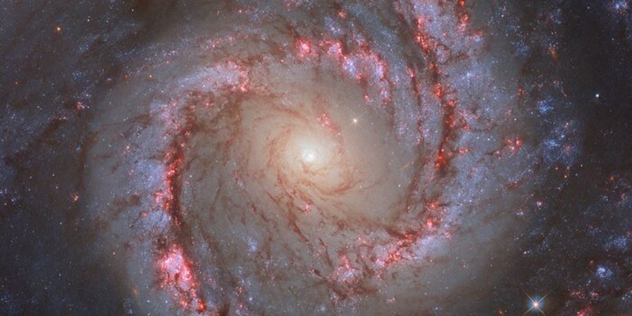 галактика NGC 1566