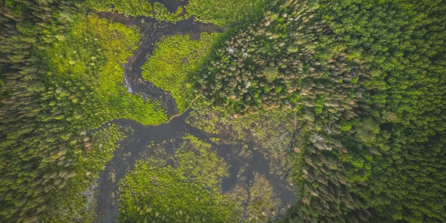 река, водный путь, бобры водный путь