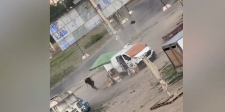 Сафарі на людей у Херсоні