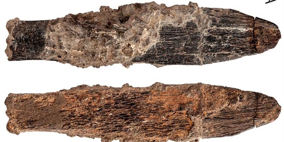 Костяное орудие атерийцев. A.Bouzouggar et al. / PLoS ONE, 2018