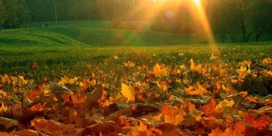 Фото: ngs24.ru