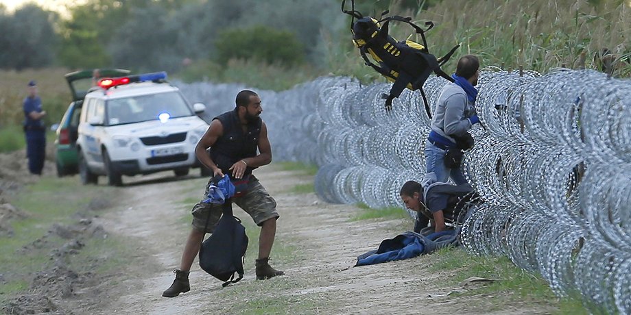 Мигранты на венгерской границе / Фото: Laszlo Balogh/Reuters