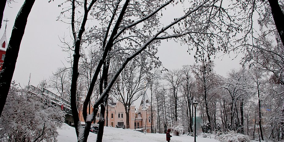 Ярослав Дебелый, Фокус.ua