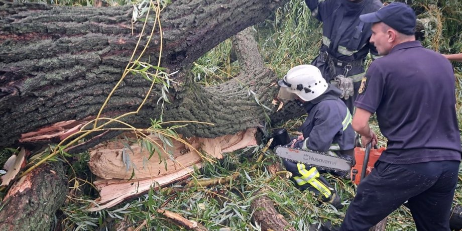 одесская область упало дерево