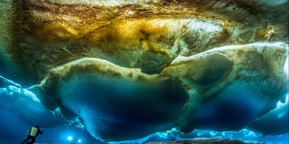 воды вокруг антарктиды стали более солеными