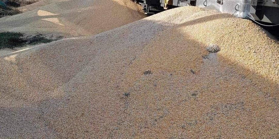 війна в україні, блокада кордону, українське зерно, вагон, кукурудза, поляки