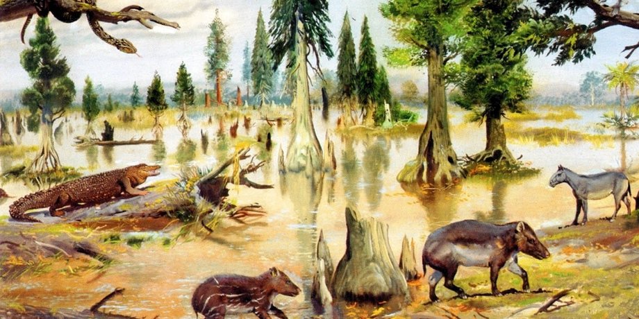 еоценова фауна, дерева, тварини, малюнок