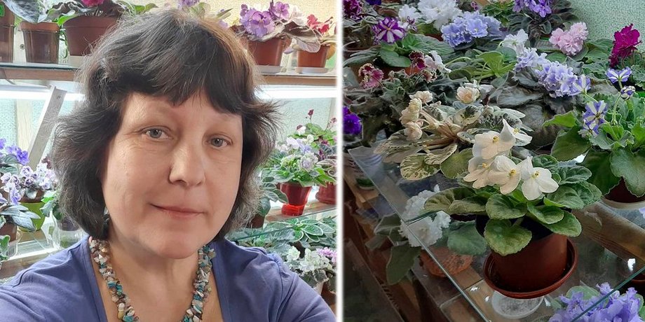 Цветочница из Житомира в двухкомнатном доме собрала более 400 сортов фиалок