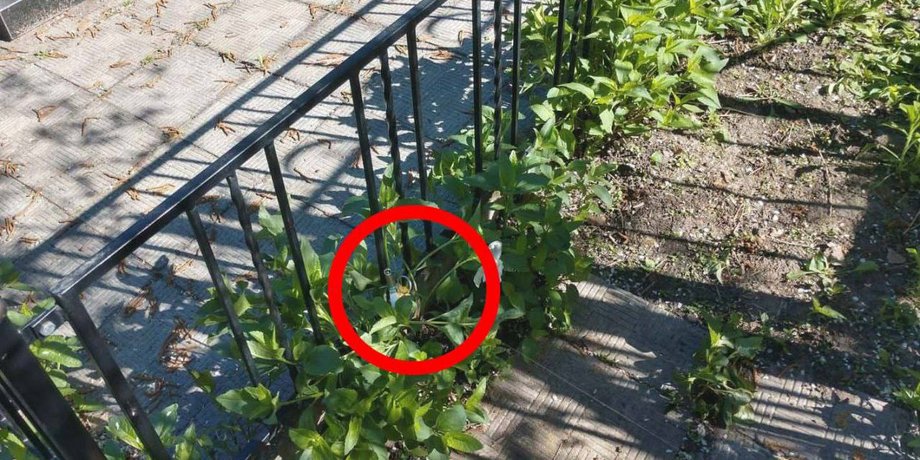 Харьков, кладбище, растяжки на кладбище