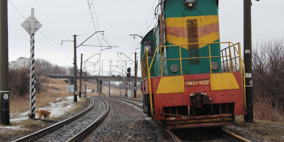 Фото: Роман Губа