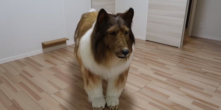 костюм