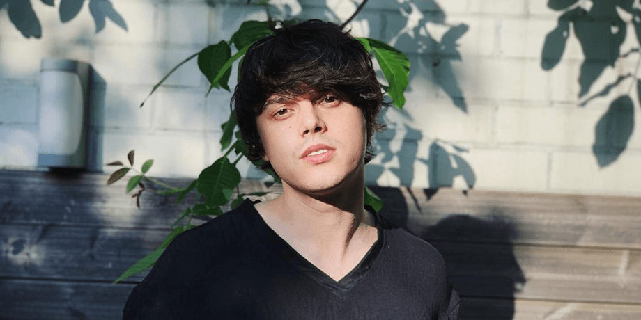 ALEKSEEV, стена, ветки дерева