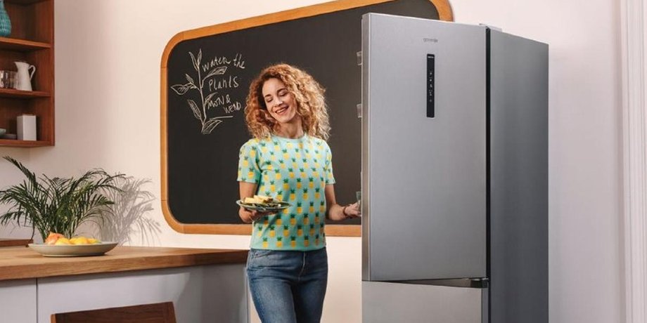 Холодильник Gorenje