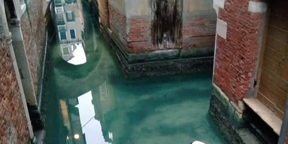 Фото: Clean Venice/Twitter