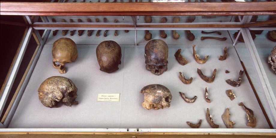 Natural History Museum of Denmark