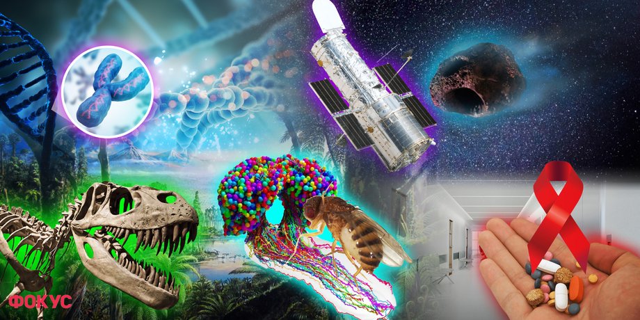 важные научные открытия 2023, главные научные открытия 2023, итоги года 2023, научные открытия, что изобрели в 2023 году, изобретения 2023, открытия 2023
