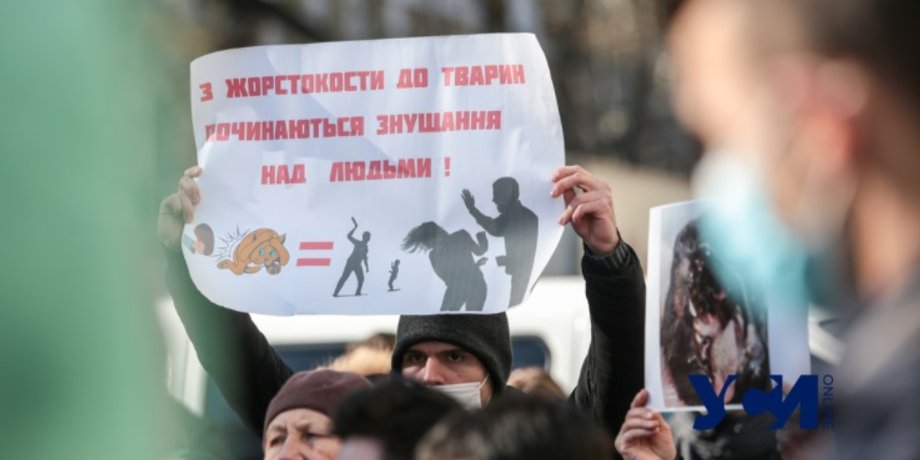 митинг, одесса, жестокое обращение с животными